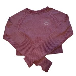 Workout Longsleeve Crop Top